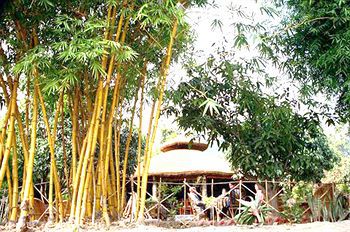 Tiger Camp Resort Ramnagar  Ngoại thất bức ảnh